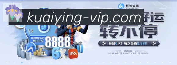 App Interface Preview